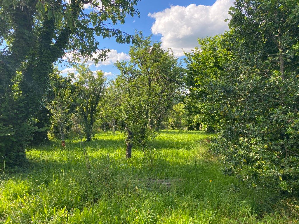 Achat maison 5 chambre(s) - Châteauneuf-la-Forêt