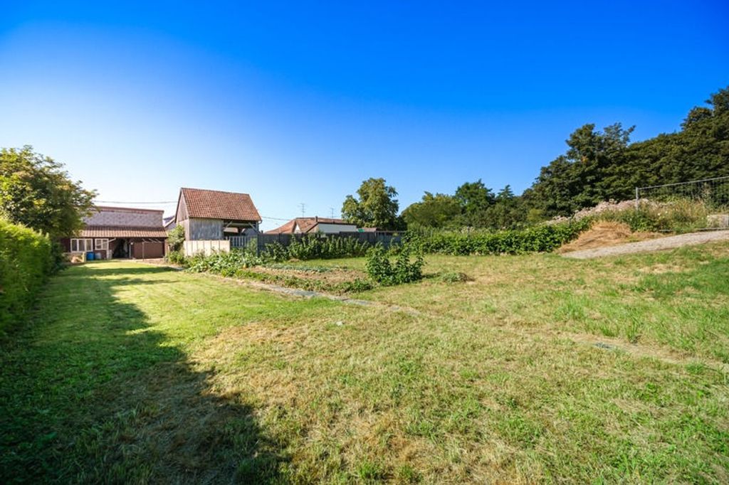 Achat maison à vendre 4 chambres 105 m² - Morschwiller-le-Bas