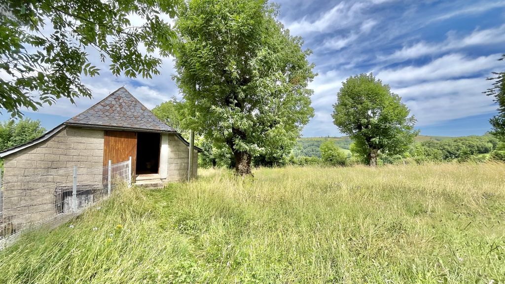 Achat maison 3 chambre(s) - Saint-Chély-d'Aubrac