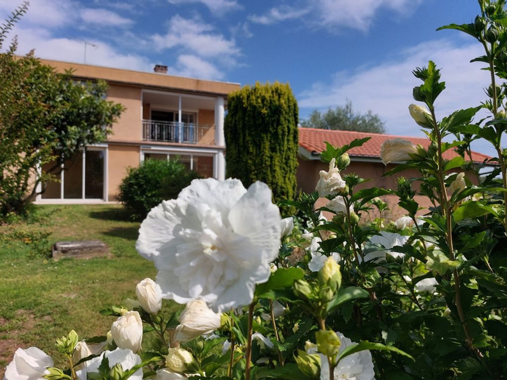 Achat maison à vendre 4 chambres 266 m² - Montauban