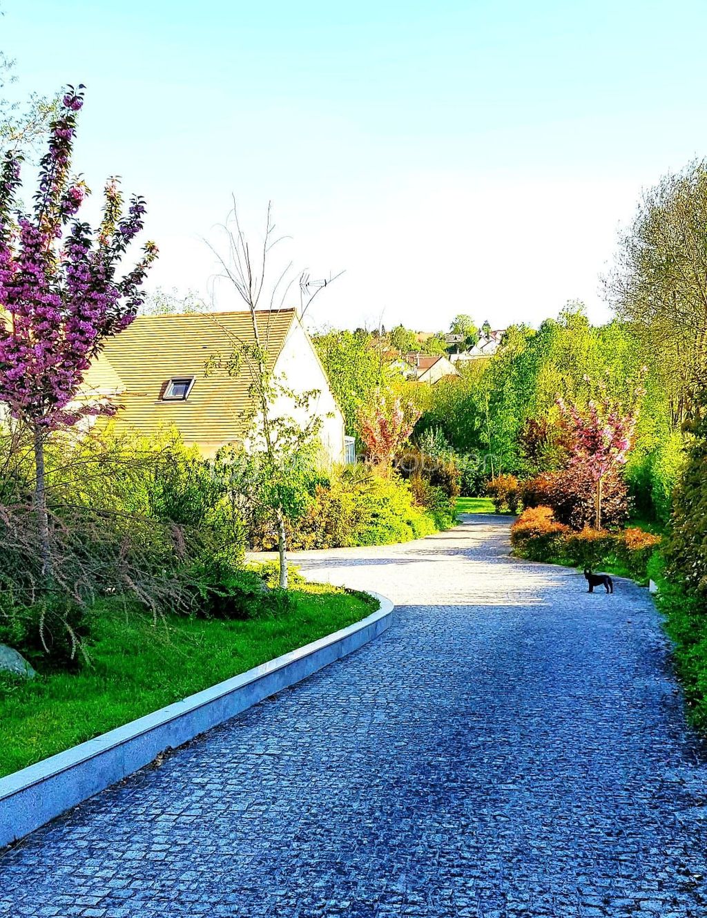 Achat maison 4 chambre(s) - Yerres