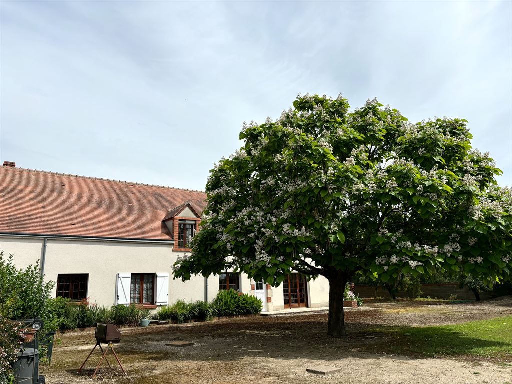 Achat maison 3 chambre(s) - Ligny-le-Ribault