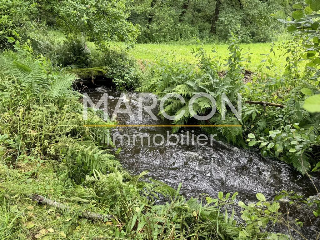 Achat maison 4 chambre(s) - Azat-Châtenet