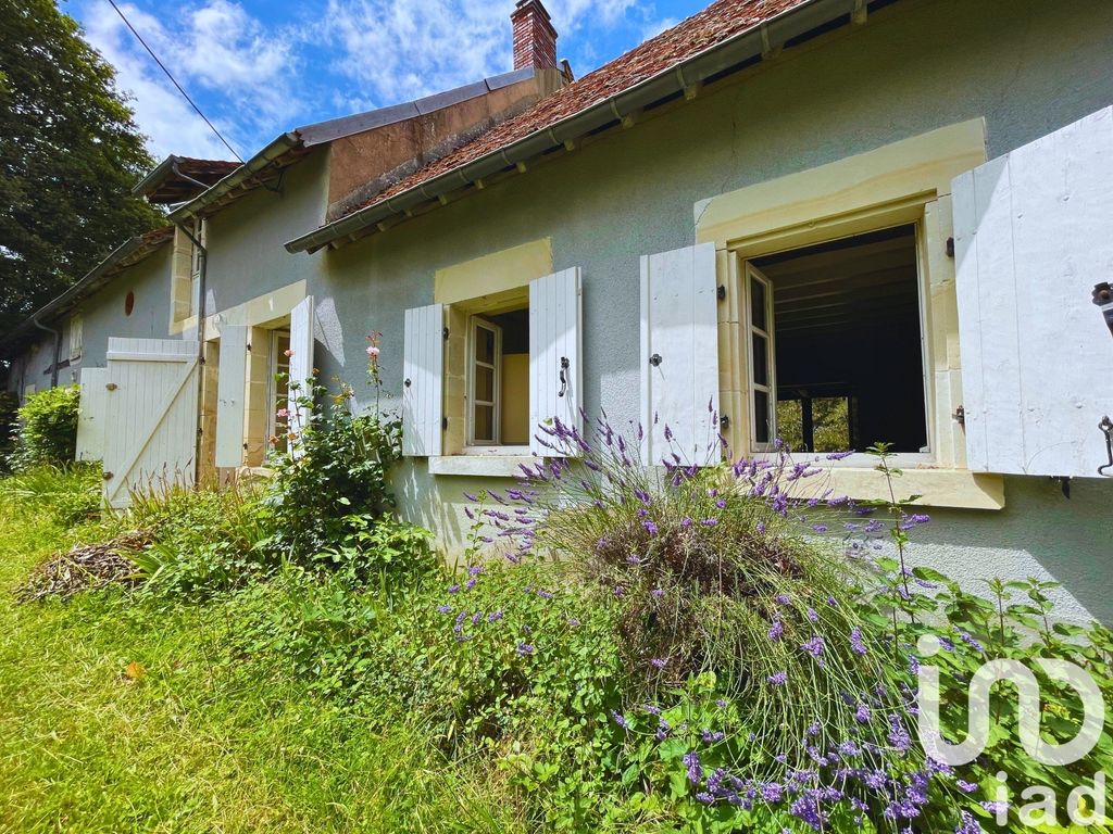 Achat maison à vendre 3 chambres 225 m² - Alligny-Cosne