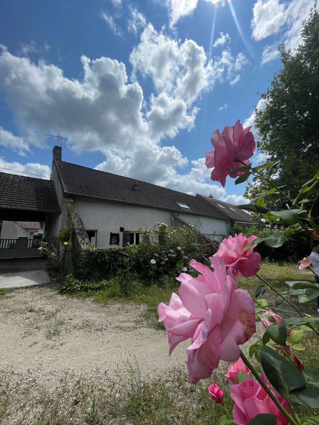 Achat maison 3 chambre(s) - Lailly-en-Val