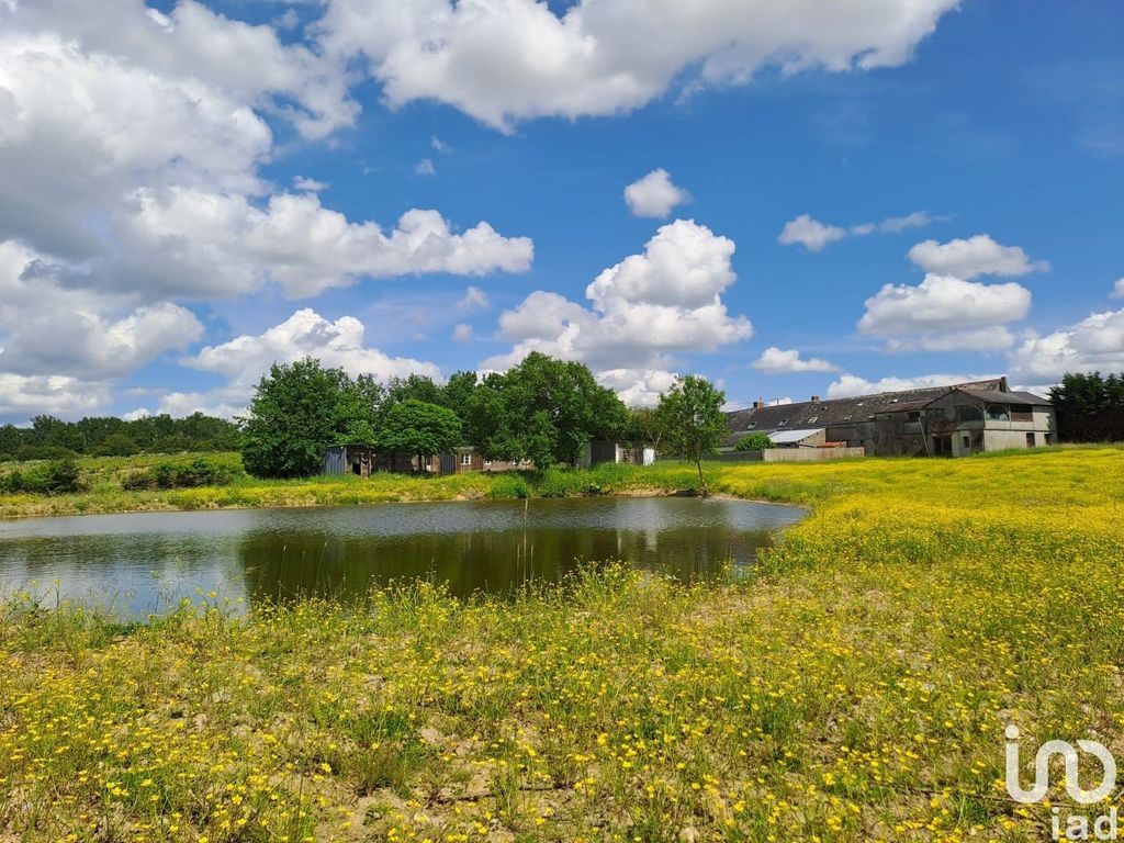 Achat maison 3 chambre(s) - Rochefort-sur-Loire