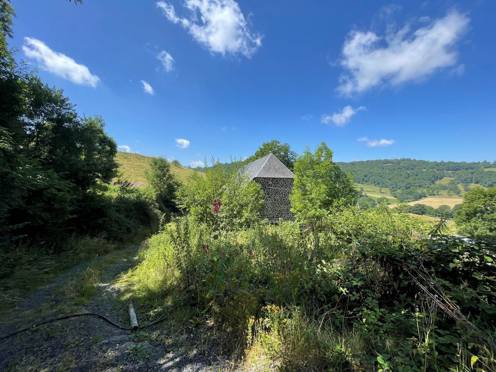 Achat maison 1 chambre(s) - Riom-ès-Montagnes