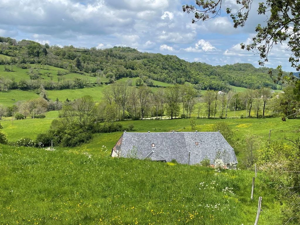 Achat maison à vendre 1 chambre 335 m² - Riom-ès-Montagnes