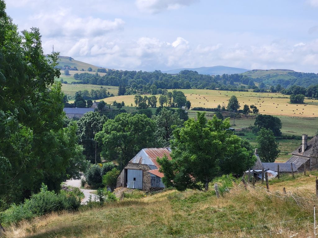 Achat maison à vendre 1 chambre 300 m² - Riom-ès-Montagnes