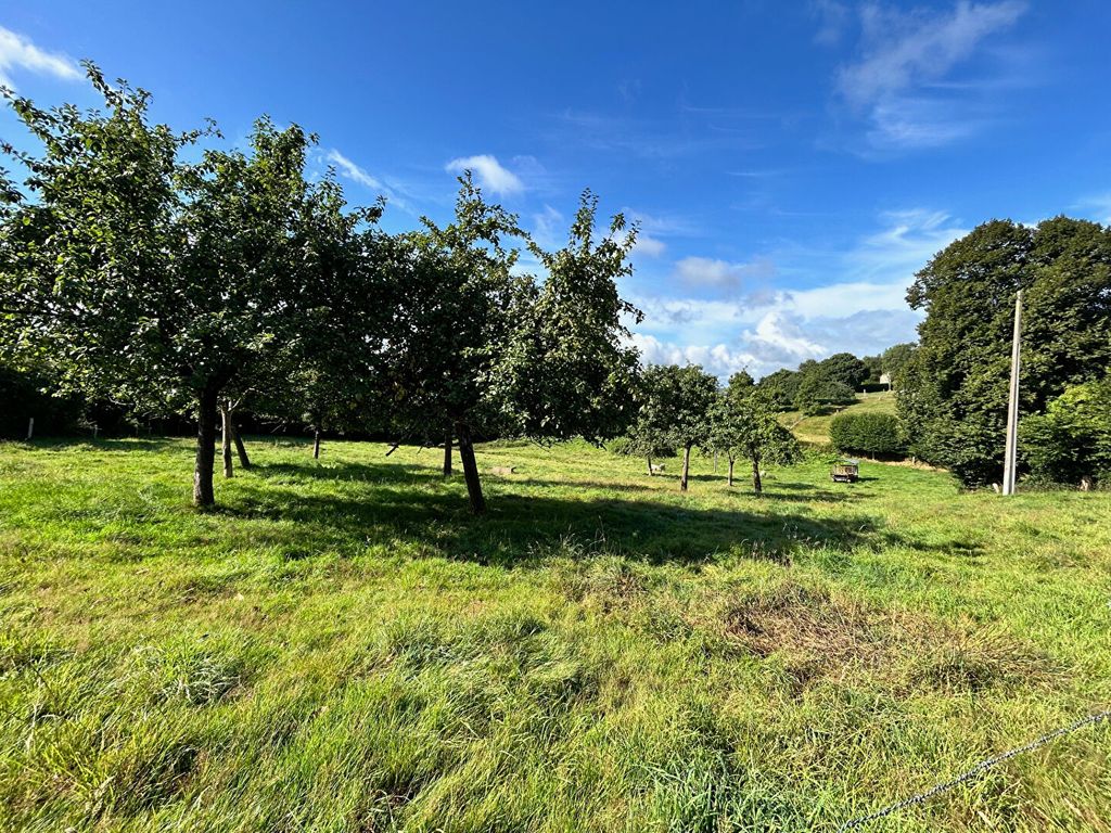 Achat maison 3 chambre(s) - Tinchebray-Bocage