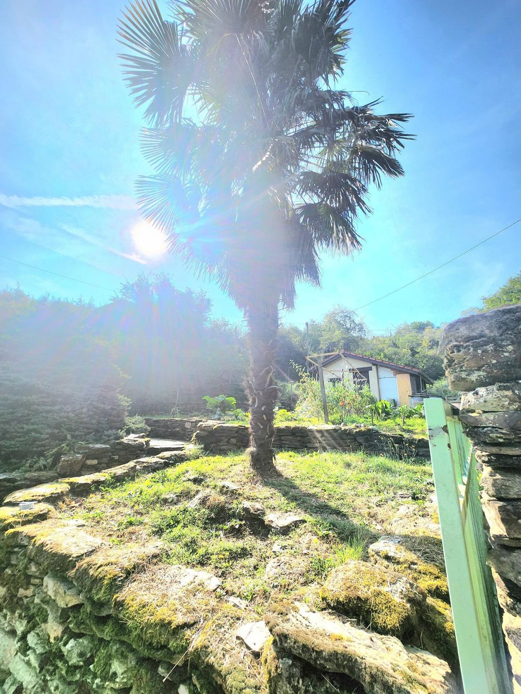 Achat maison 3 chambre(s) - Loire-sur-Rhône