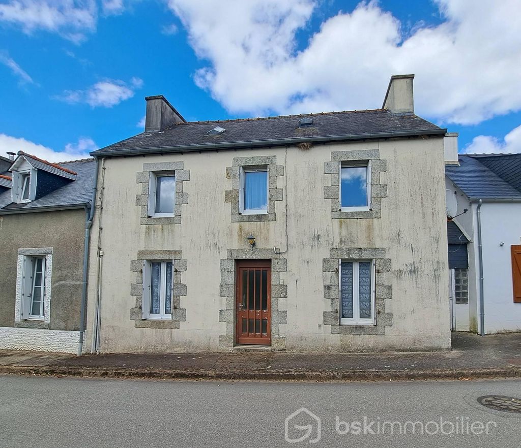 Achat maison à vendre 2 chambres 110 m² - Collorec