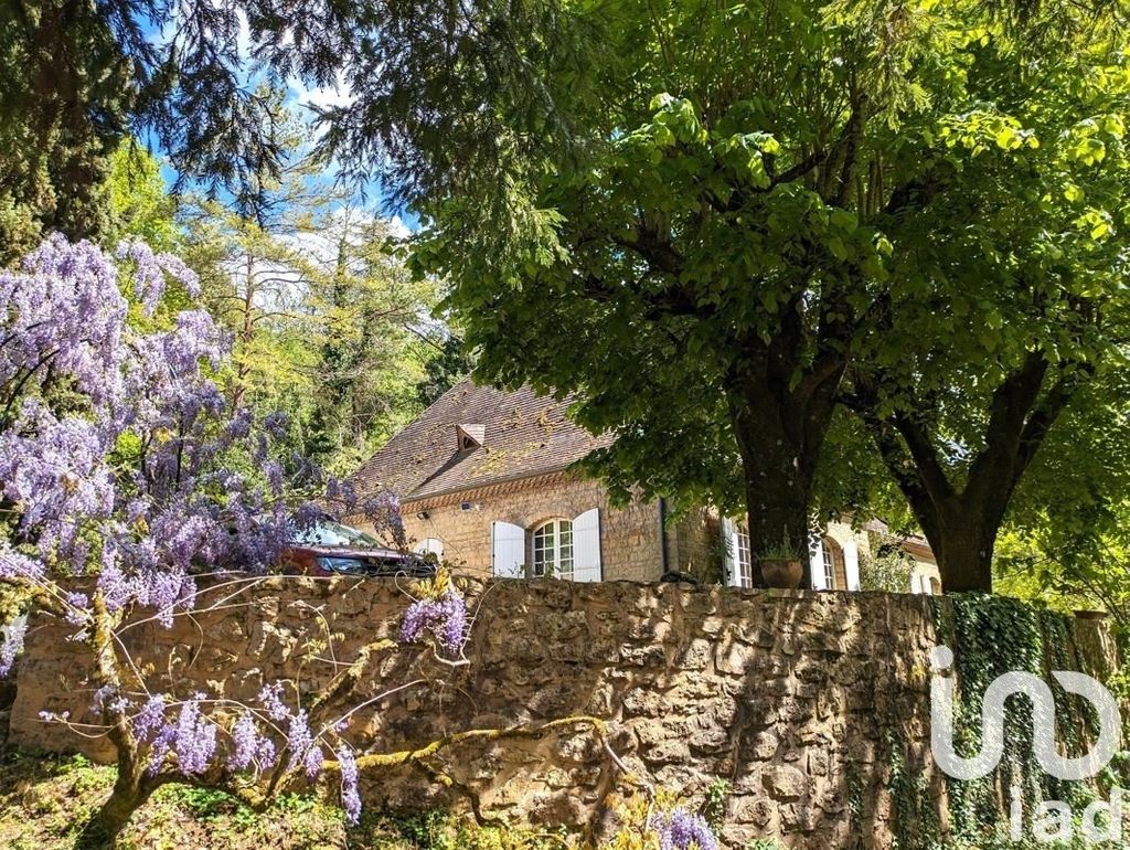 Achat maison à vendre 5 chambres 243 m² - Le Bugue