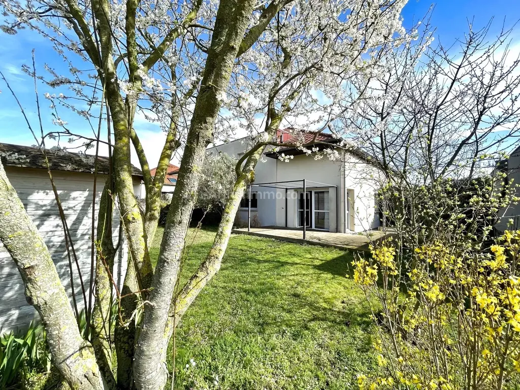 Achat duplex à vendre 4 pièces 84 m² - Ensisheim