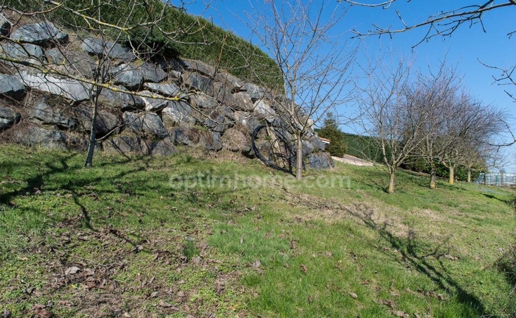 Achat maison 4 chambre(s) - Brussieu