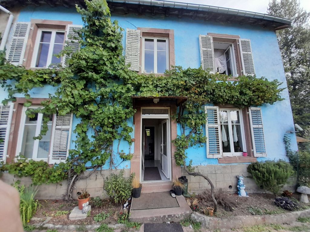 Achat maison à vendre 3 chambres 300 m² - Frapelle