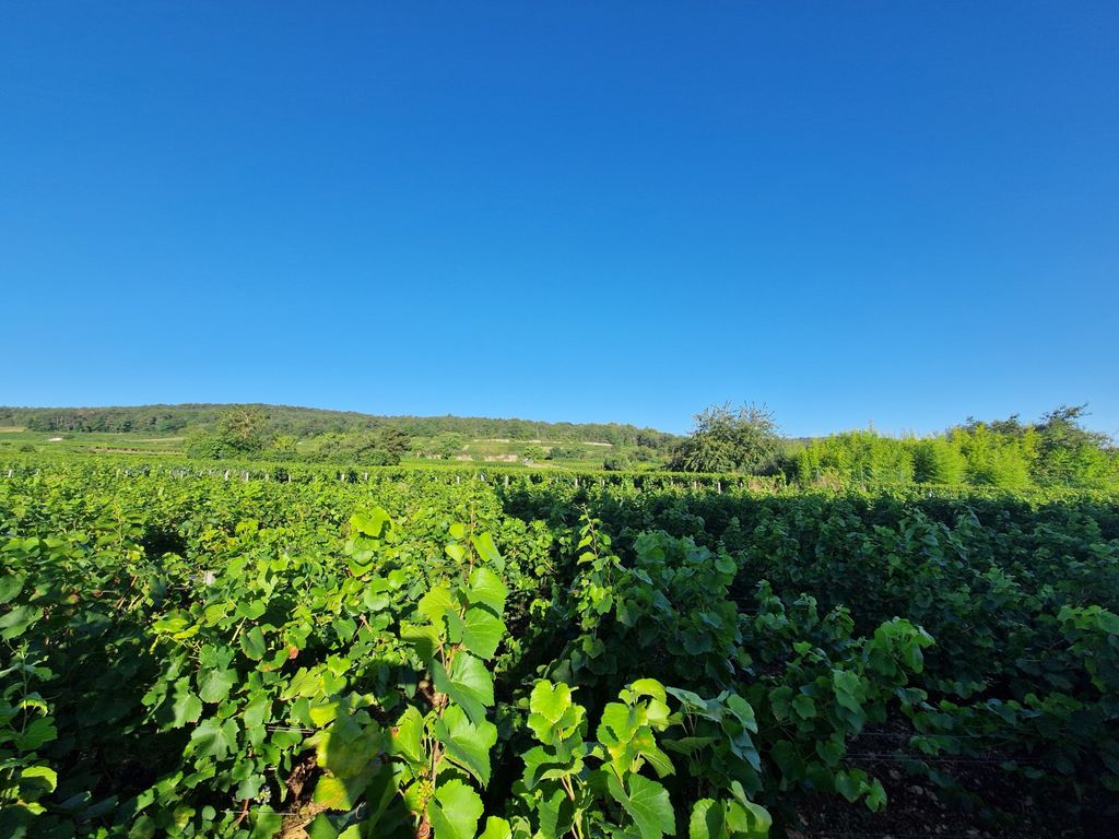 Achat appartement 4 pièce(s) Marsannay-la-Côte