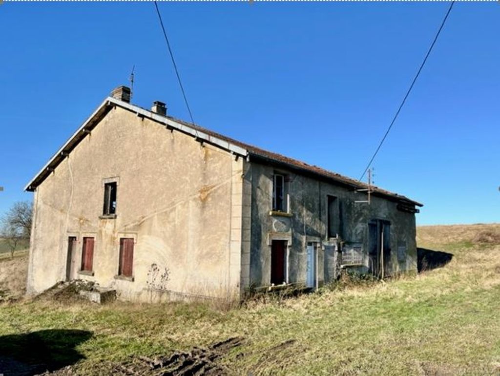 Achat maison à vendre 3 chambres 250 m² - Montfaucon-d'Argonne