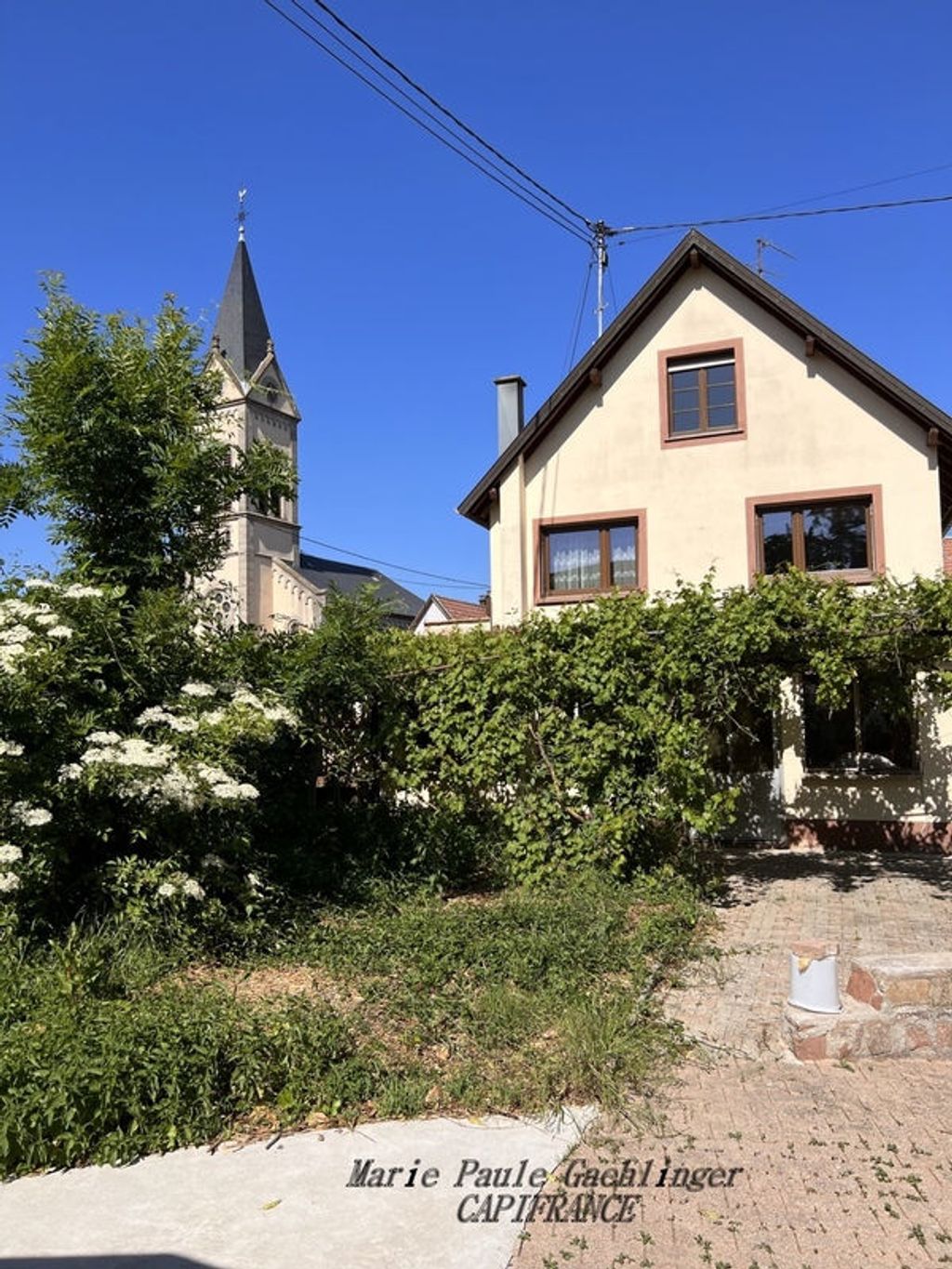 Achat maison 6 chambre(s) - Melsheim