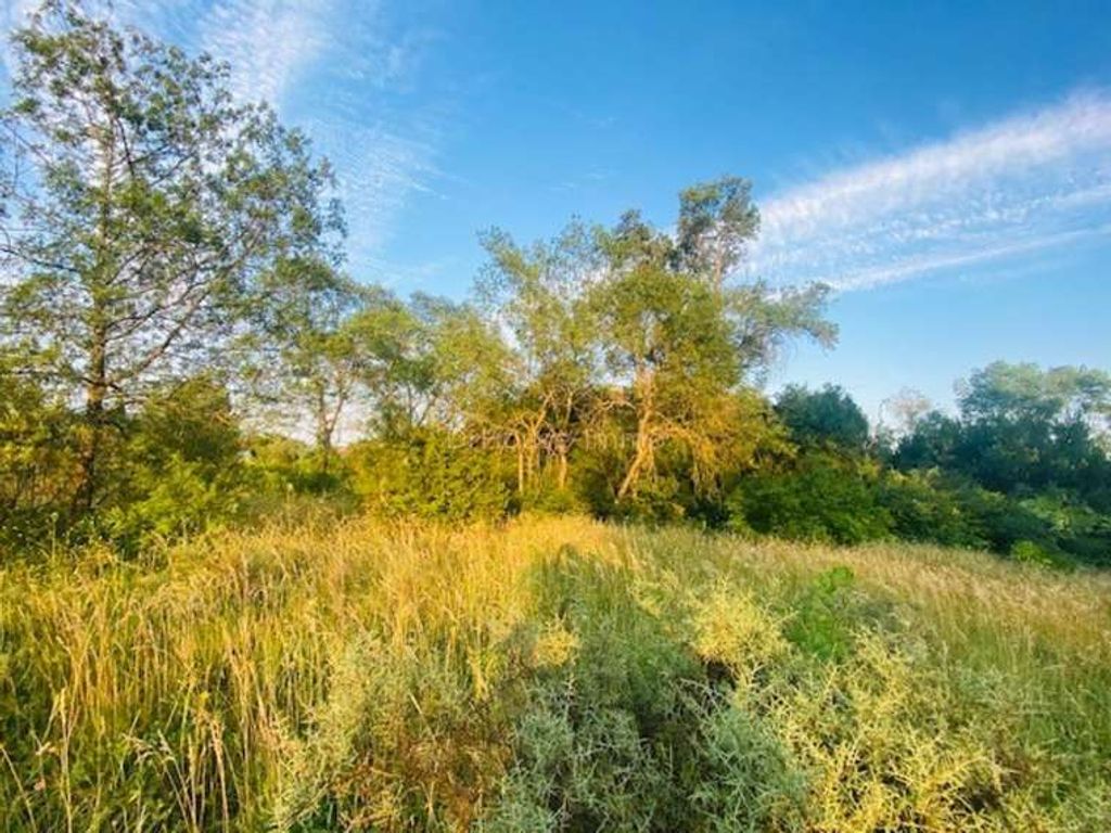 Achat maison 4 chambre(s) - Uzès