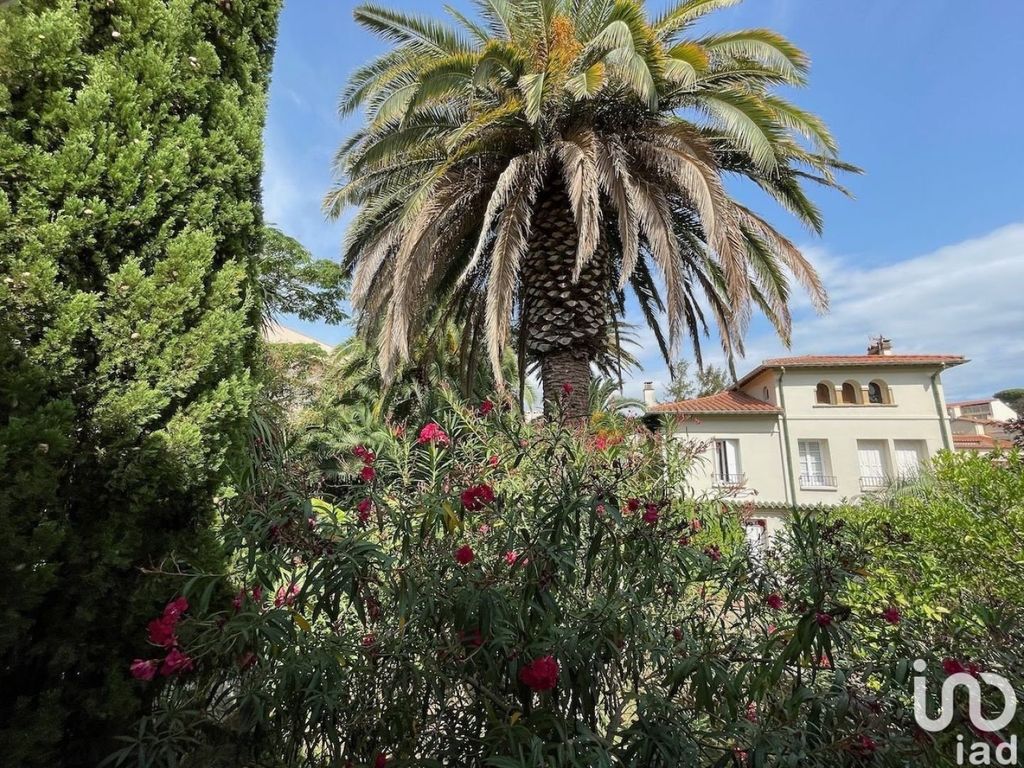 Achat appartement à vendre 3 pièces 52 m² - Collioure