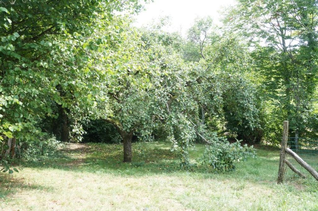 Achat maison 2 chambre(s) - Boulot