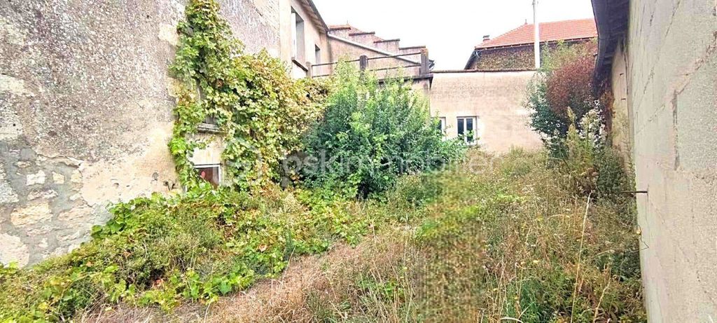 Achat maison à vendre 4 chambres 301 m² - Chef-Boutonne