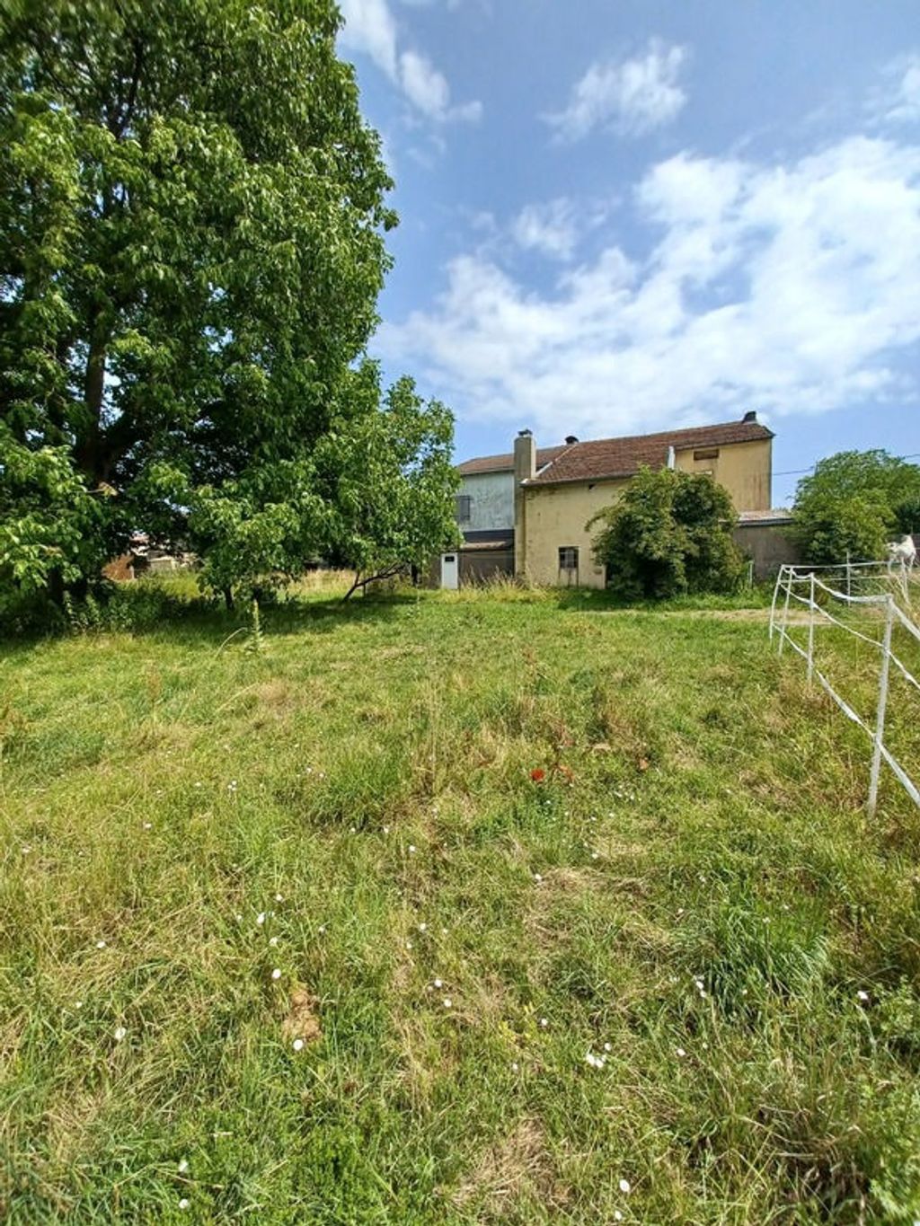 Achat maison 6 chambre(s) - Villécloye