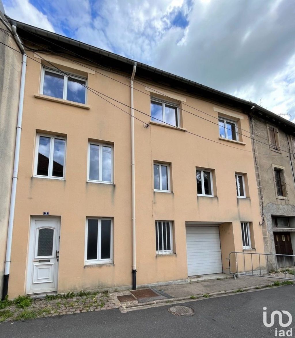 Achat maison à vendre 5 chambres 250 m² - Cirey-sur-Vezouze