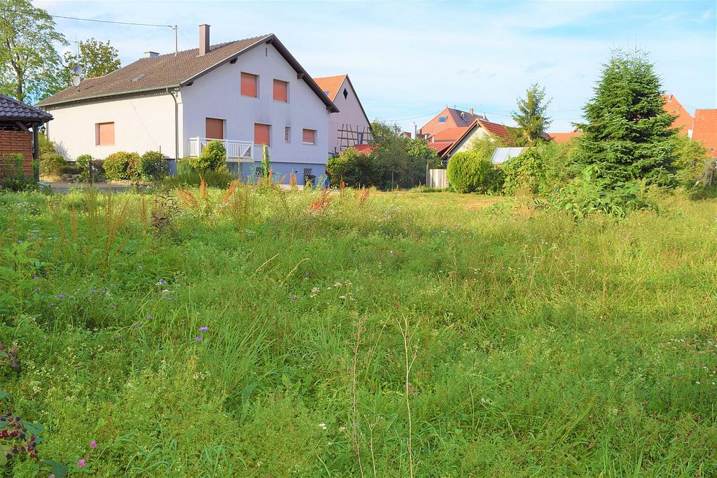 Achat maison à vendre 5 chambres 201 m² - Rœschwoog