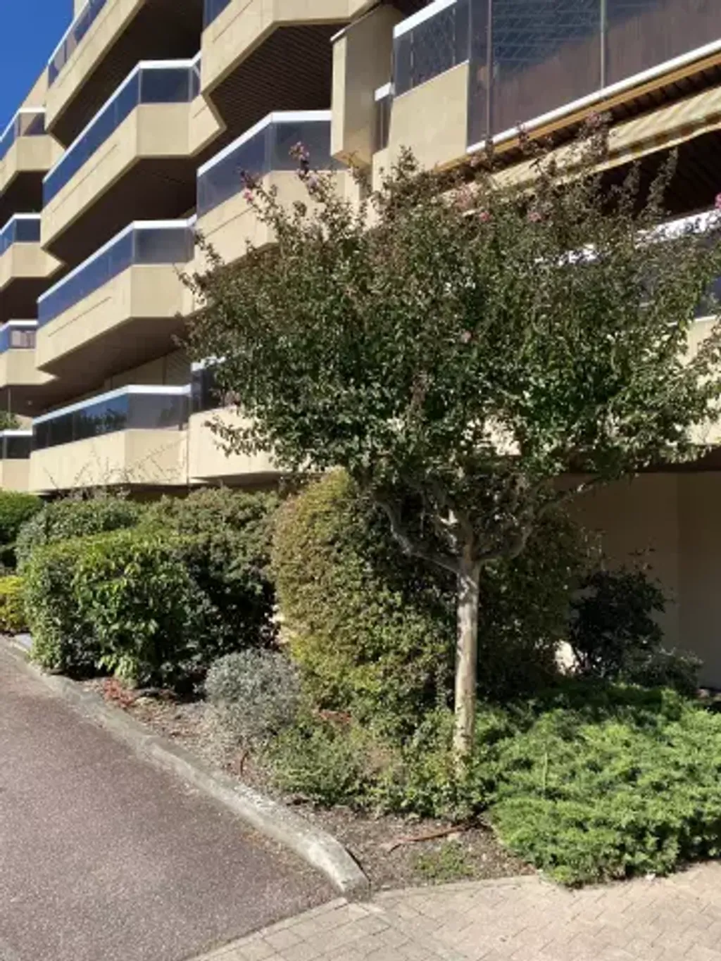 Achat appartement à vendre 5 pièces 134 m² - Bordeaux