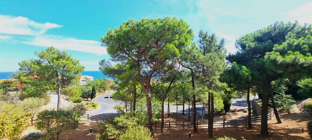 Achat appartement à vendre 2 pièces 50 m² - Banyuls-sur-Mer