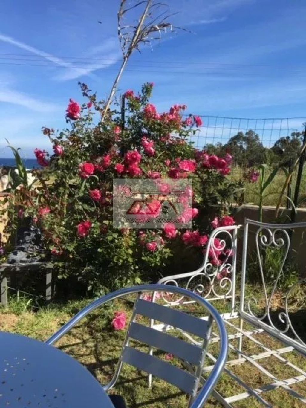 Achat maison 3 chambre(s) - L'Île-Rousse