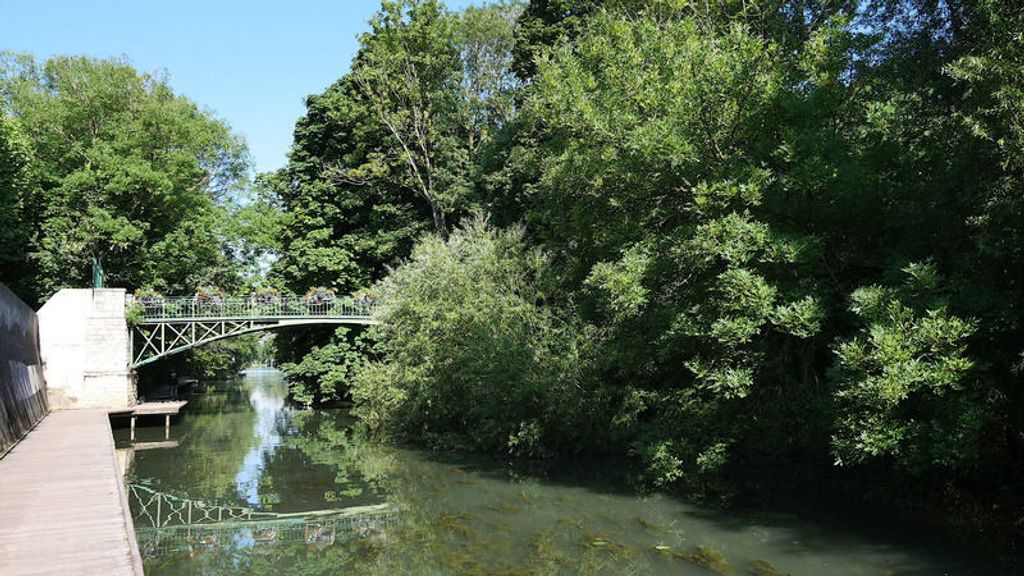 Achat appartement 5 pièce(s) Maisons-Alfort