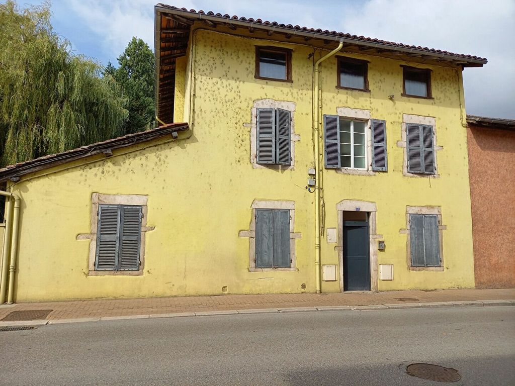 Achat maison à vendre 4 chambres 264 m² - Montrevel-en-Bresse