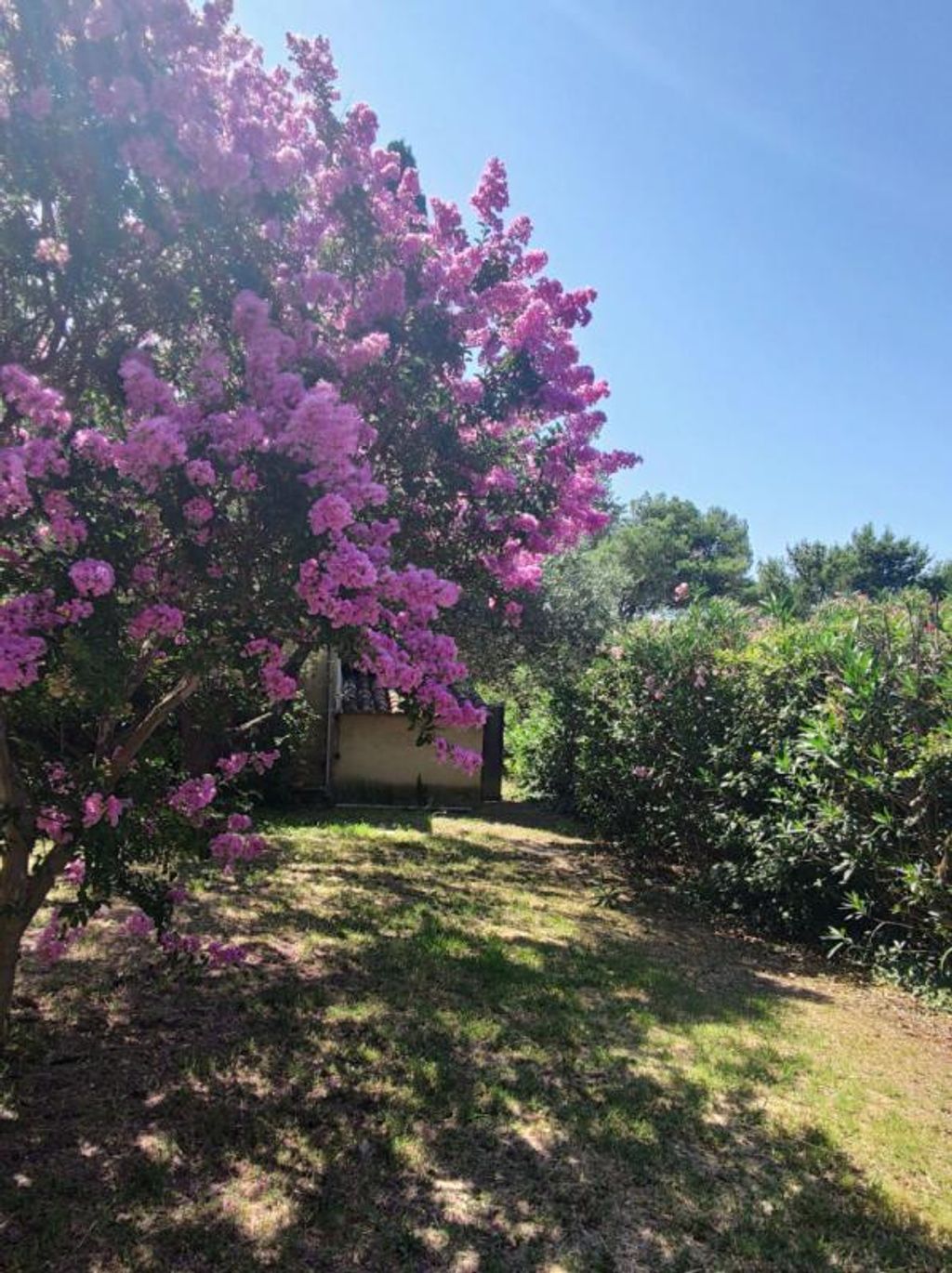 Achat maison 4 chambre(s) - Saint-Christol-lès-Alès