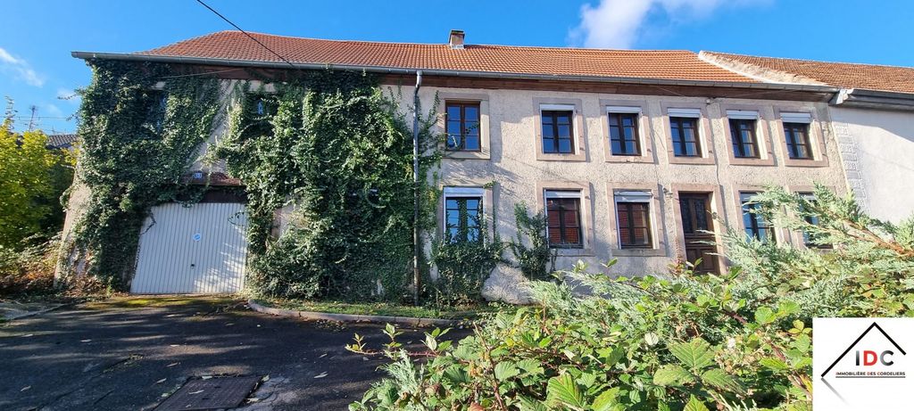 Achat maison à vendre 7 chambres 270 m² - Sarrebourg