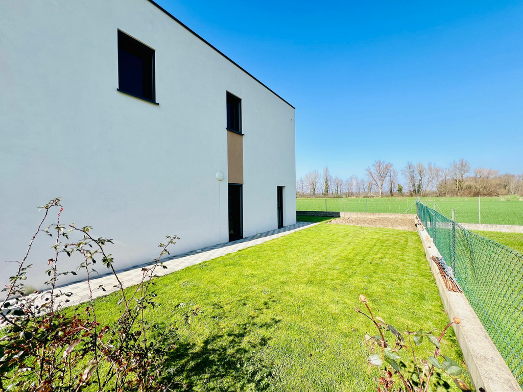 Achat maison à vendre 4 chambres 172 m² - Eschau