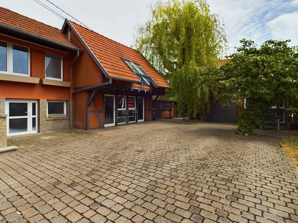 Achat maison à vendre 3 chambres 215 m² - Illkirch-Graffenstaden