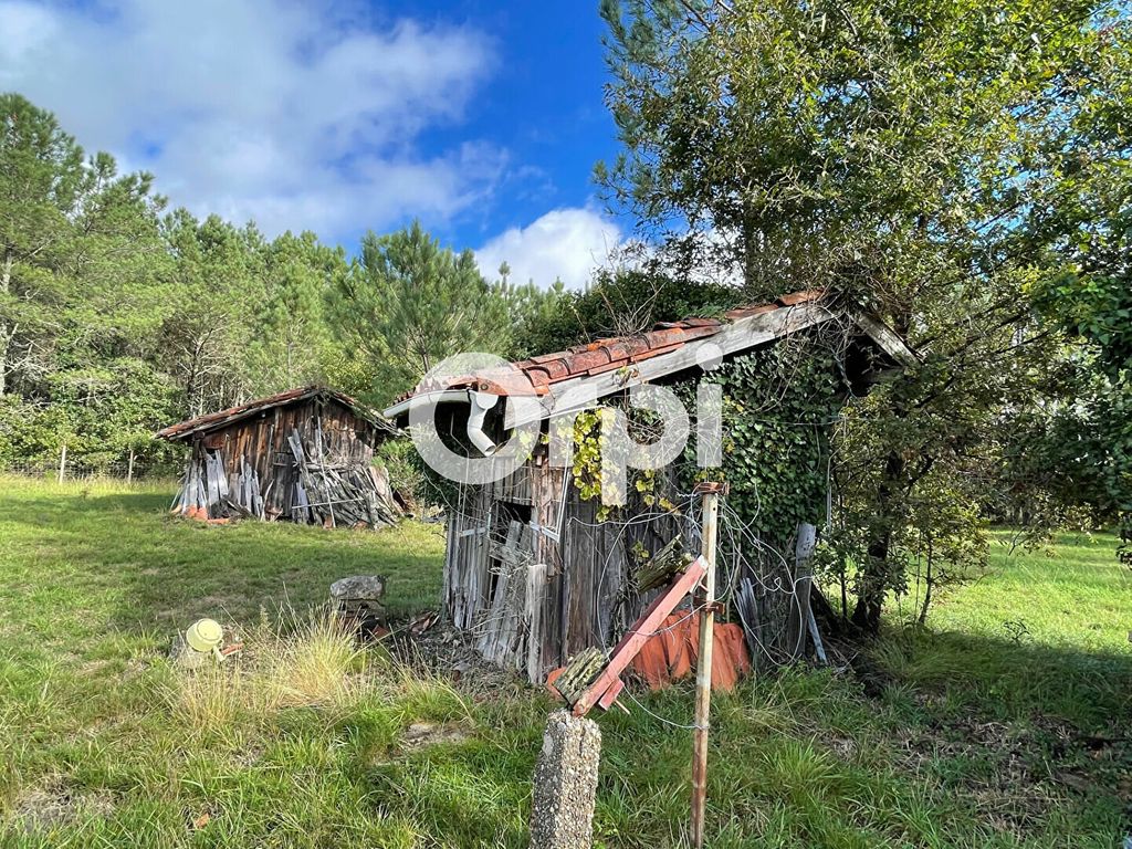 Achat maison 6 chambre(s) - Lévignacq