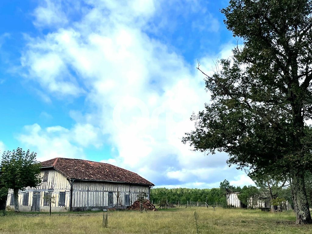 Achat maison 6 chambre(s) - Lévignacq