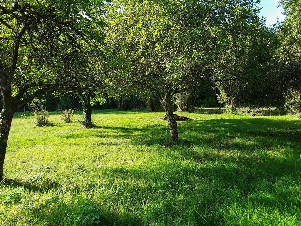 Achat maison à vendre 1 chambre 44 m² - Chevillon-sur-Huillard