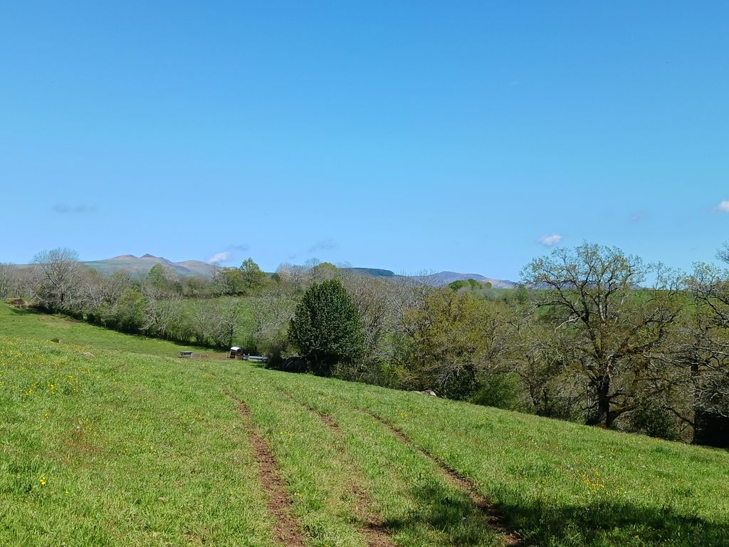 Achat maison 1 chambre(s) - Saint-Martin-Valmeroux