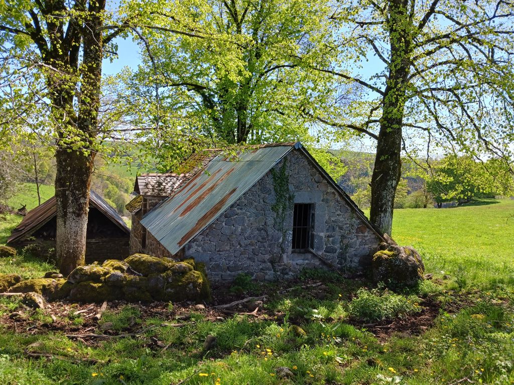 Achat maison 1 chambre(s) - Saint-Martin-Valmeroux