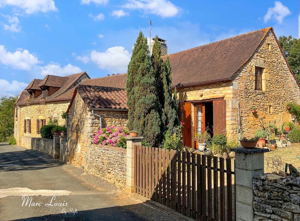 Achat maison à vendre 4 chambres 202 m² - Le Buisson-de-Cadouin