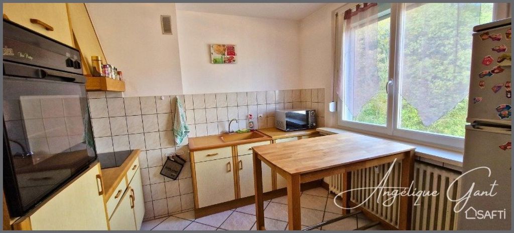 Achat appartement 4 pièce(s) Illange