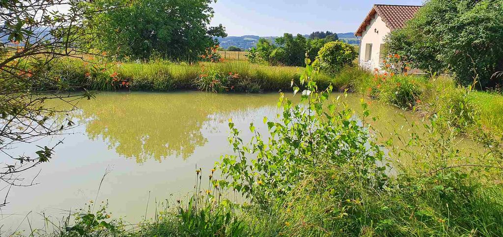 Achat maison 3 chambre(s) - Châteauneuf-la-Forêt