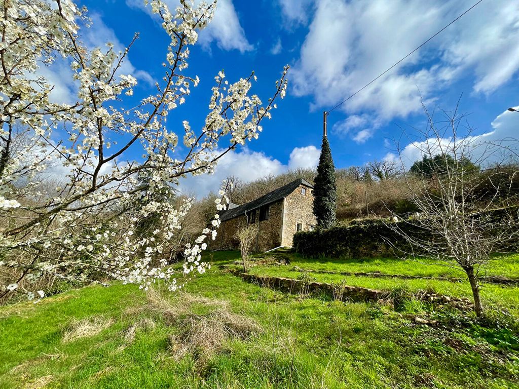 Achat maison à vendre 6 chambres 332 m² - Saint-Sylvain