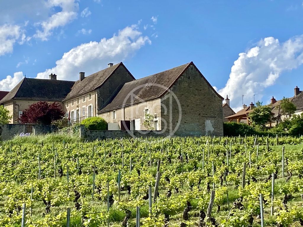 Achat maison 5 chambre(s) - Givry