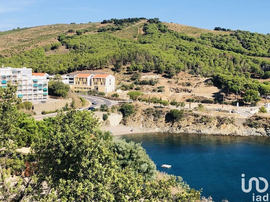 Achat appartement à vendre 2 pièces 36 m² - Banyuls-sur-Mer